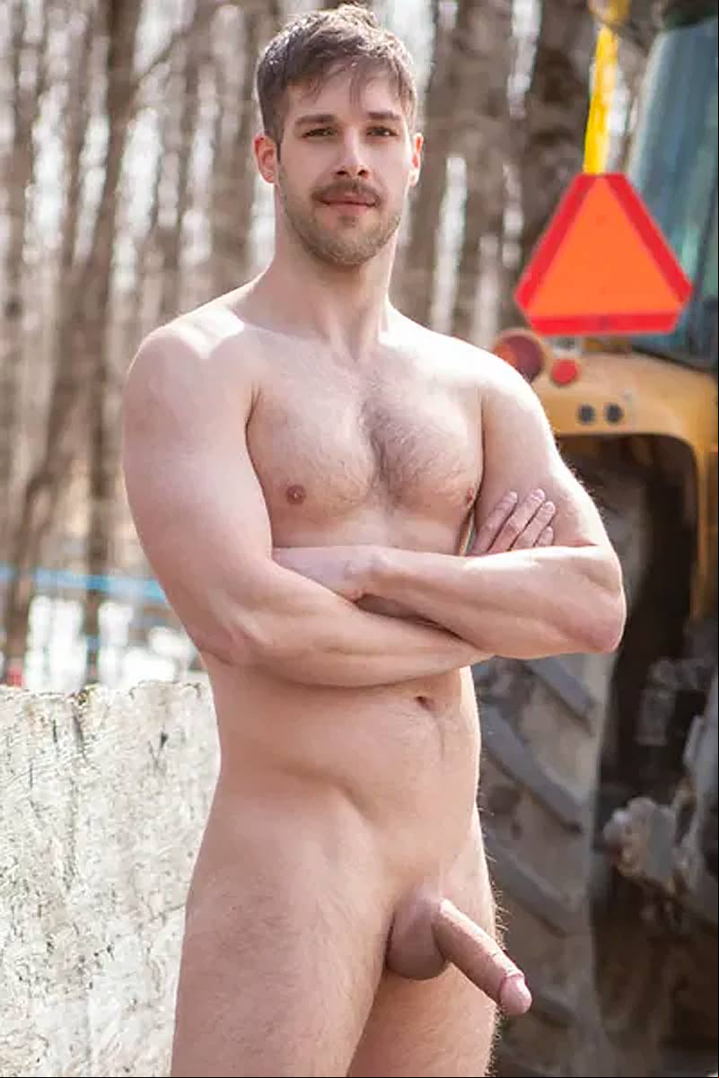 Arno Antino Porn Star Picture