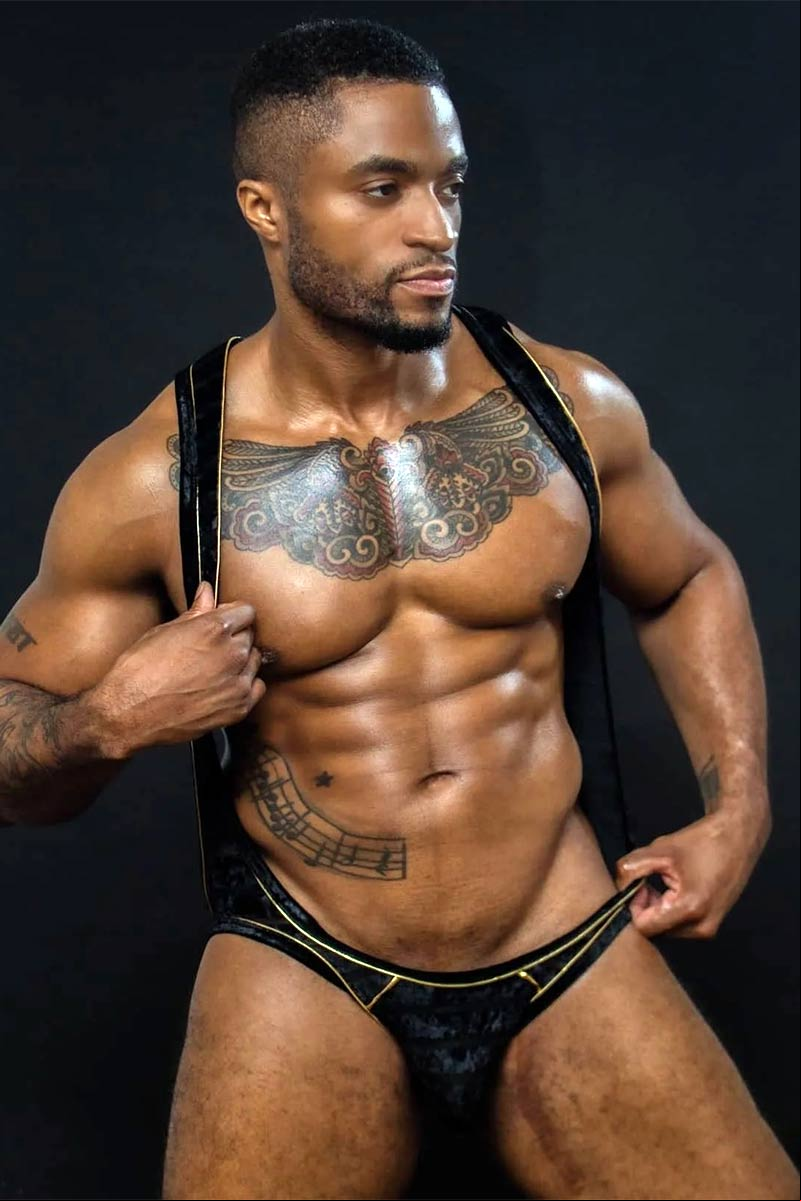 Mr. GoodGood Porn Star Picture